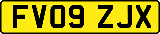 FV09ZJX