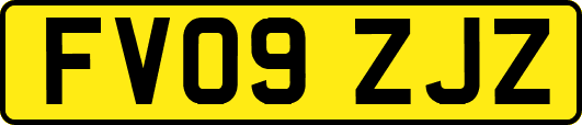 FV09ZJZ