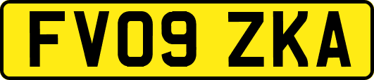 FV09ZKA