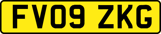FV09ZKG