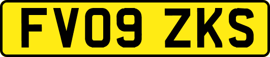 FV09ZKS