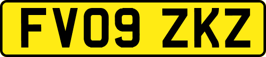 FV09ZKZ