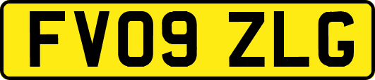 FV09ZLG