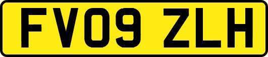 FV09ZLH