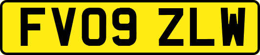 FV09ZLW