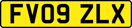 FV09ZLX