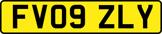 FV09ZLY