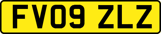 FV09ZLZ