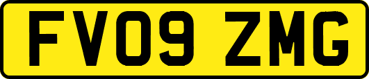 FV09ZMG