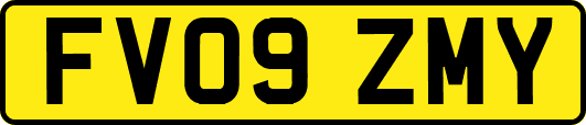 FV09ZMY