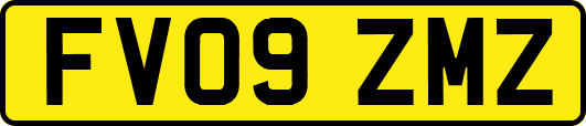 FV09ZMZ