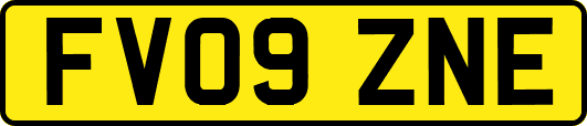 FV09ZNE
