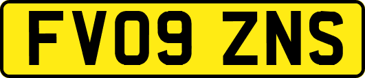 FV09ZNS