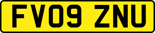 FV09ZNU