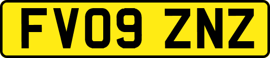 FV09ZNZ