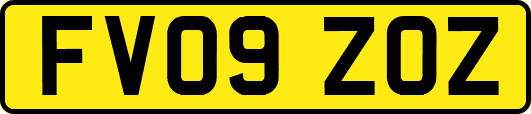 FV09ZOZ