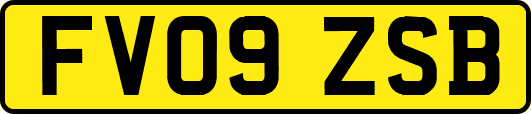 FV09ZSB