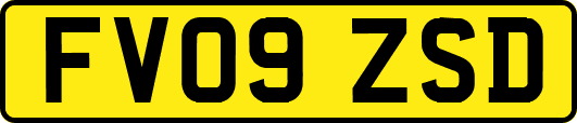 FV09ZSD