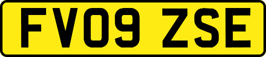 FV09ZSE