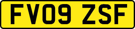 FV09ZSF