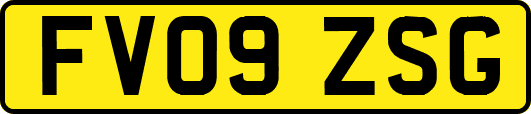 FV09ZSG