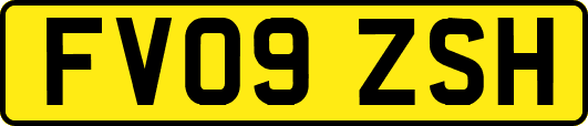 FV09ZSH
