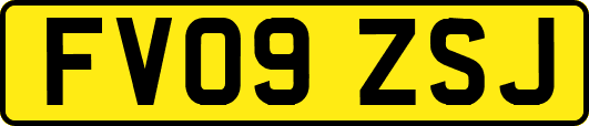 FV09ZSJ