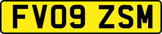 FV09ZSM