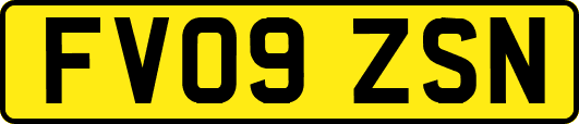 FV09ZSN