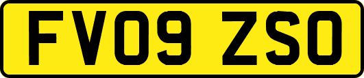 FV09ZSO