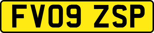 FV09ZSP