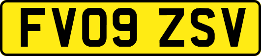 FV09ZSV