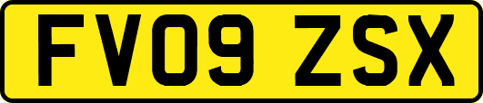 FV09ZSX
