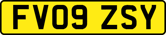 FV09ZSY