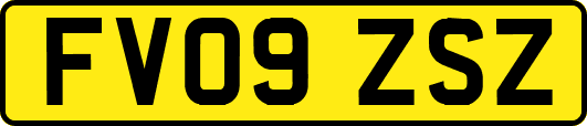 FV09ZSZ