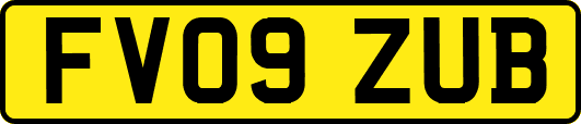 FV09ZUB