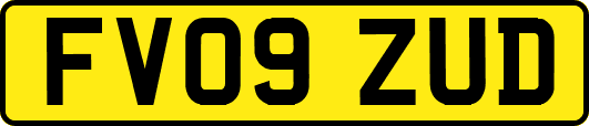 FV09ZUD