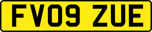 FV09ZUE