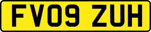 FV09ZUH