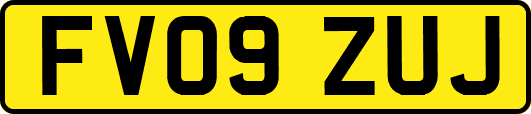 FV09ZUJ