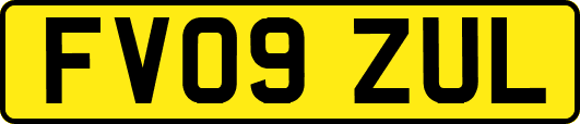 FV09ZUL