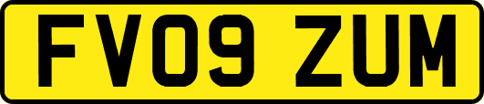 FV09ZUM