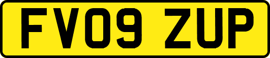 FV09ZUP