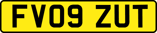 FV09ZUT