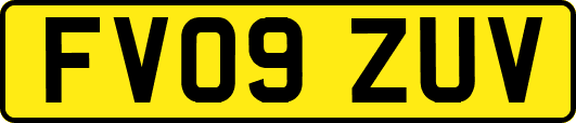 FV09ZUV