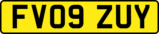 FV09ZUY