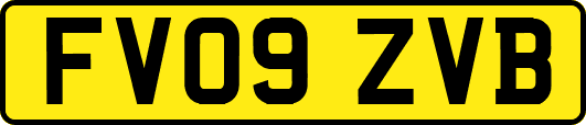 FV09ZVB