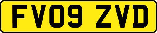 FV09ZVD