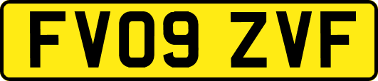 FV09ZVF