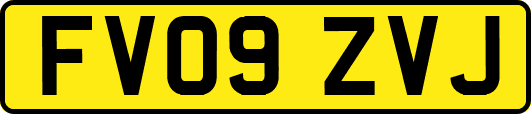FV09ZVJ